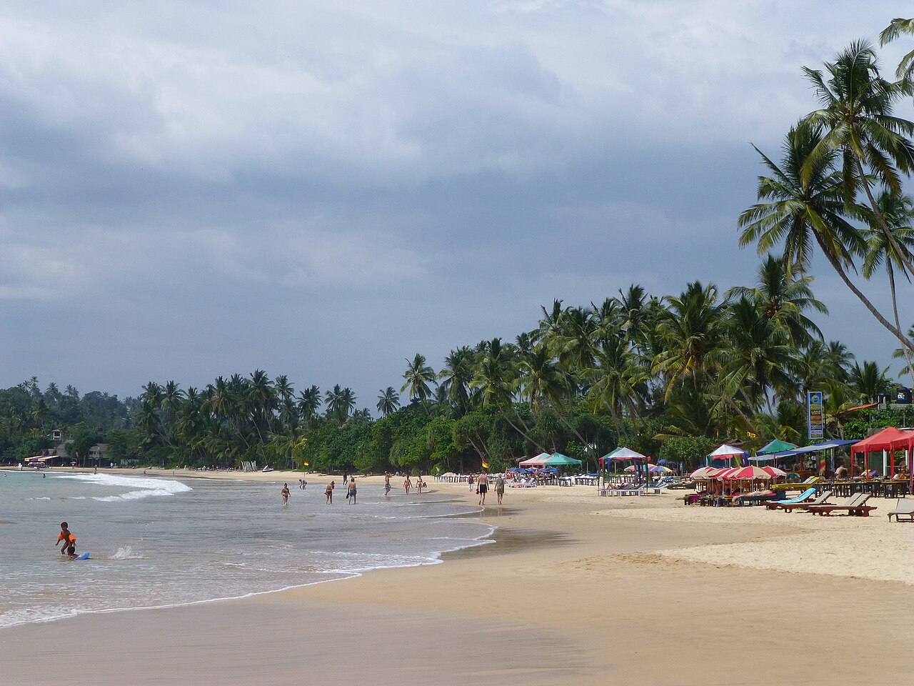 Palm-lined Sri Lankan coastline