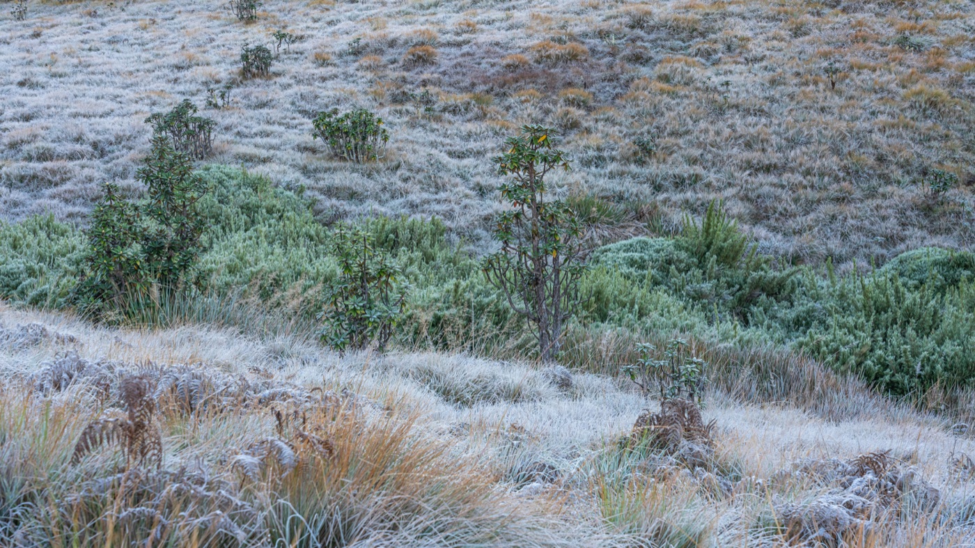 Horton Plains National Park