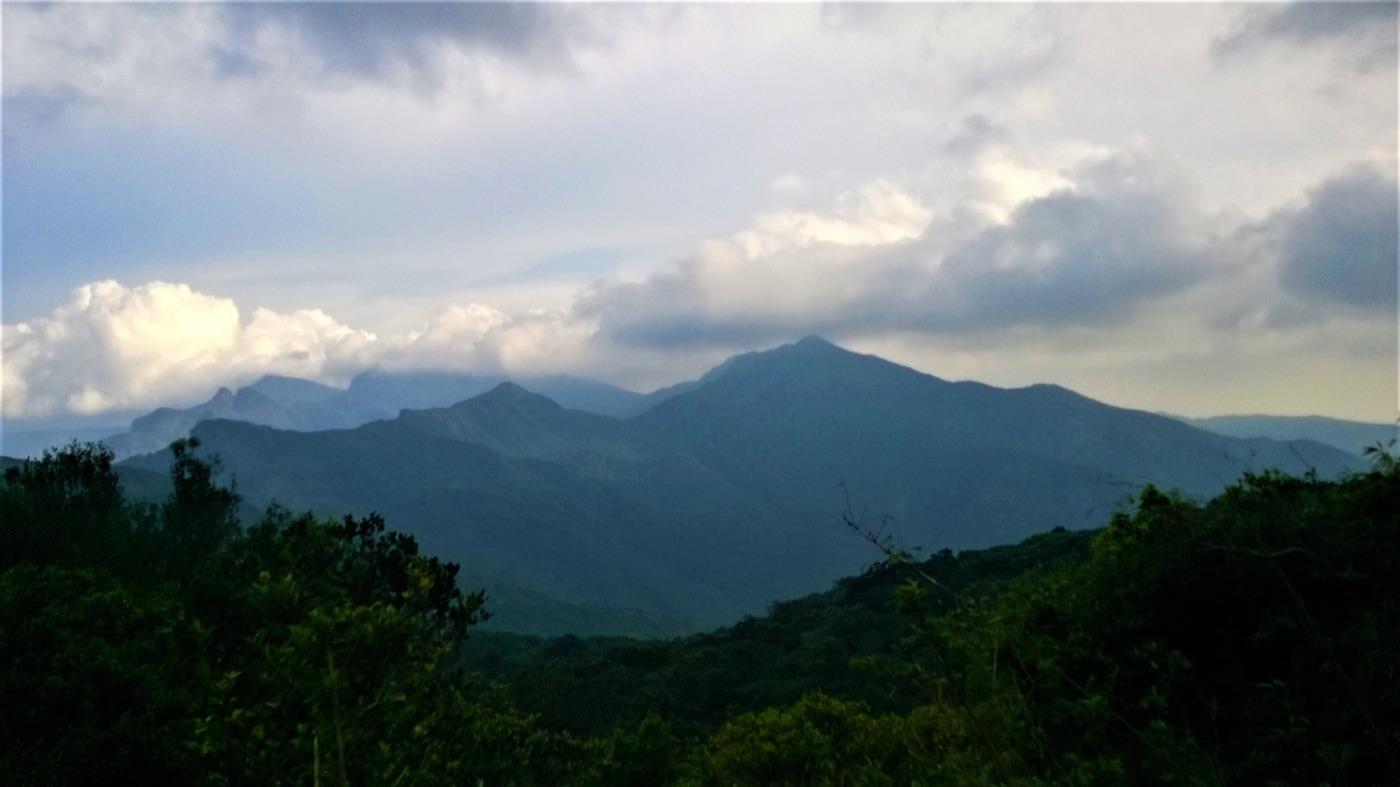 Knuckles Mountain Range